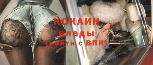 ПСИЛОЦИБИНОВЫЕ ГРИБЫ Абаза