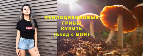 ПСИЛОЦИБИНОВЫЕ ГРИБЫ Абаза