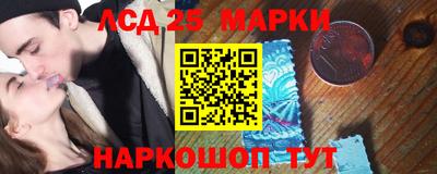 кокс Донской