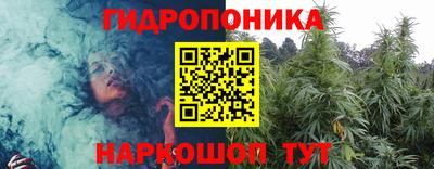 кокс Донской