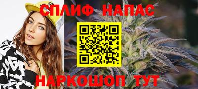 сатива Дубна