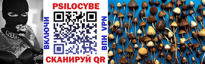 Псилоцибиновые грибы Psilocybe  Магнитогорск 